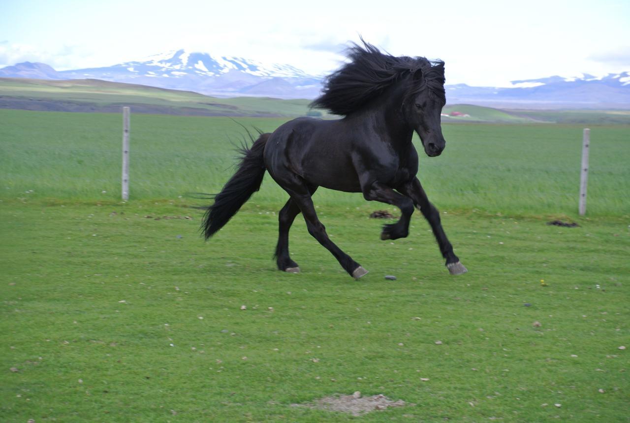 فيلا Hekla Adventures Hvolsvöllur المظهر الخارجي الصورة