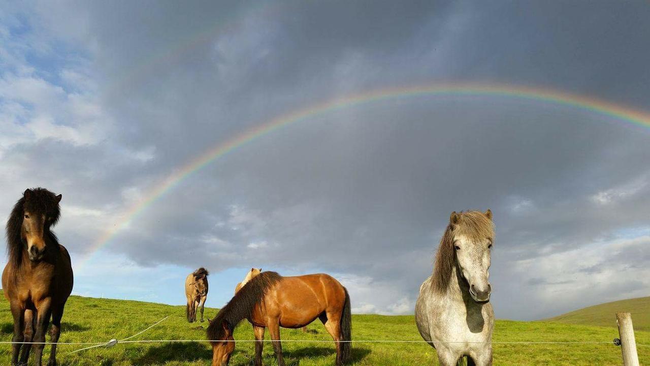 فيلا Hekla Adventures Hvolsvöllur المظهر الخارجي الصورة